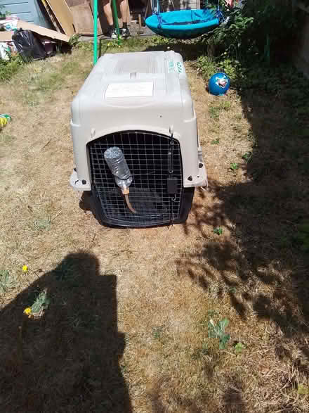 Photo of free International animal travel cage (North Town SL6) #1