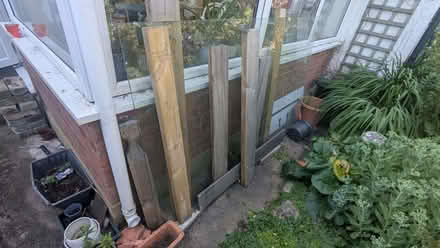 Photo of free Large Glass Sheet (Alexandra Park N22) #1