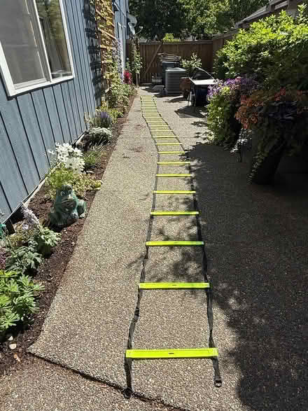 Photo of free Speed ladder and agility cones (Lacey) #1