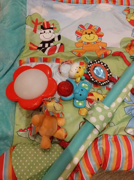 Photo of free Baby playmat (Bletchingley RH1) #1