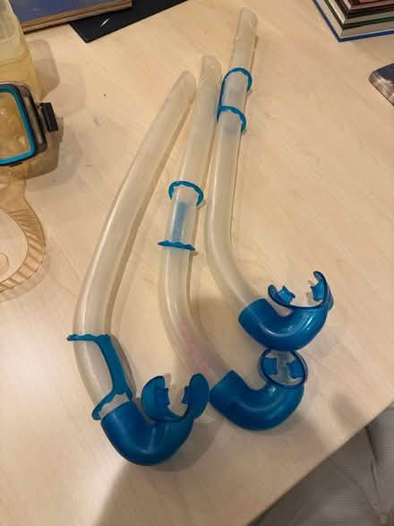 Photo of free 3 snorkels (95070) #1