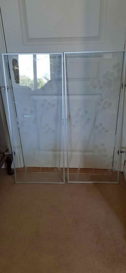 Photo of free Glass cabinet doors (Beaumont) #1