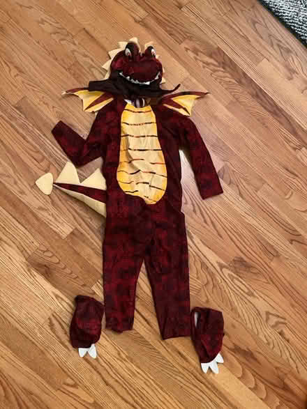 Photo of free Kids costumes (Haggerty and 7 mile) #4