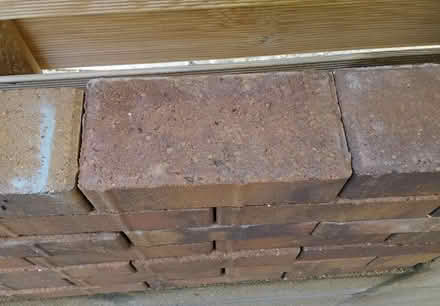 Photo of free Pavier bricks. (Welwyn AL6) #4