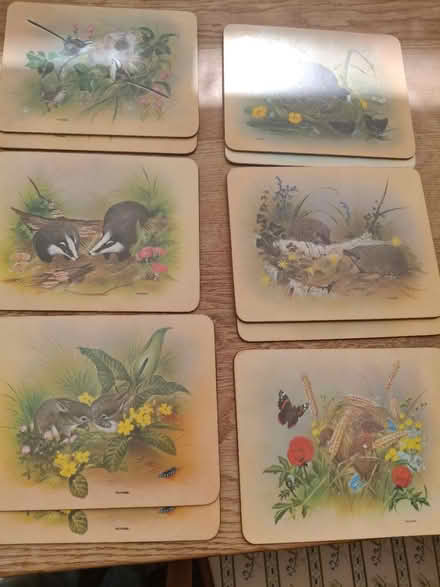 Photo of free Place mats (Jericho OX2) #1