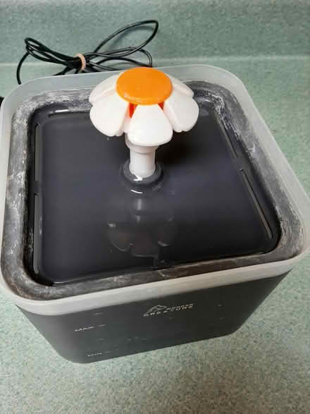 Photo of free Fountain for small dog or cat (Milwaukie, Ardenwald) #3
