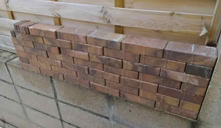 Photo of free Pavier bricks. (Welwyn AL6) #3
