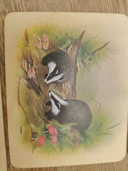 Photo of free Place mats (Jericho OX2) #3