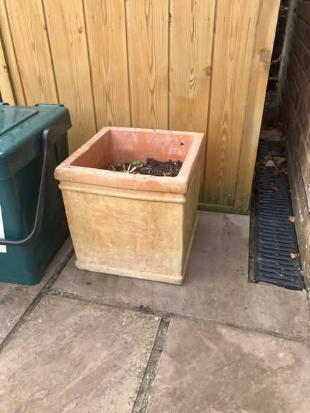 Photo of free Various garden pots (Thornbury BS35) #3