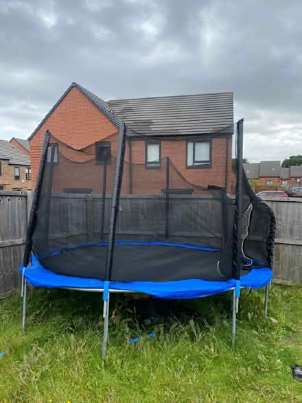 Photo of free Trampoline (Sheffield) #2