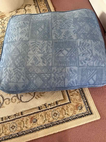 Photo of free Large cushion pad - Dog bed? (TQ5) #1