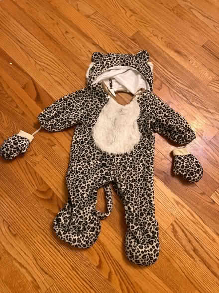 Photo of free Baby costumes (Haggerty and 7 mile) #1