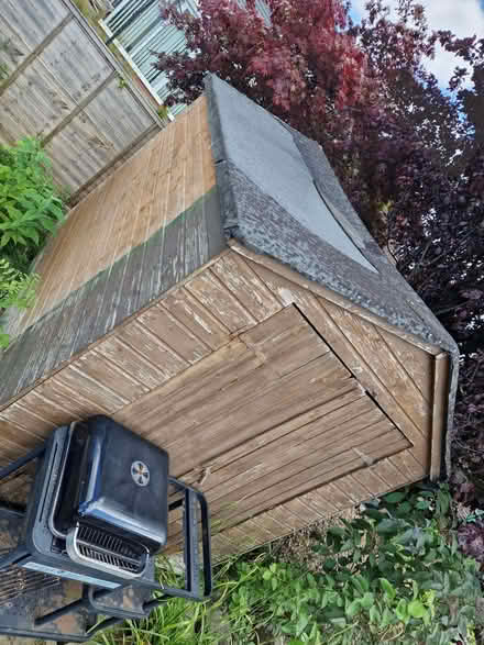 Photo of free 6 x 8 shed (Alkrington M24) #1