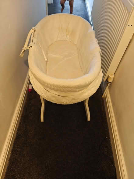 Photo of free Moses basket (Ward End B8) #1