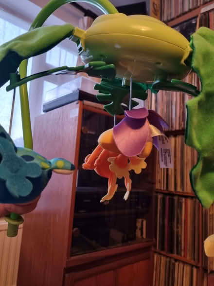 Photo of free Baby toy (East Blatchington BN25) #1