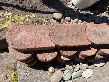 Photo of free 25+ red edging bricks (Lake City/Meadowbrook) #1