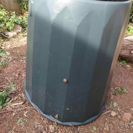 Photo of free Compost bin (Longwell Green) #4