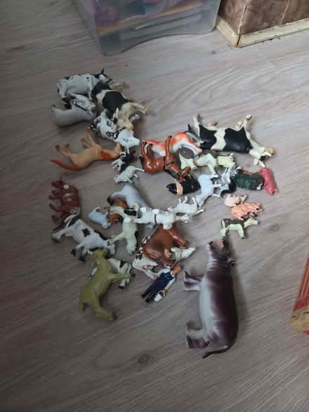 Photo of free Small farm animals (Holmer Green HP15) #1