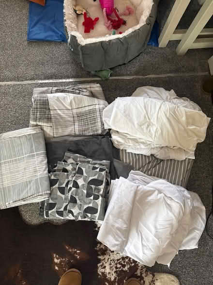 Photo of free Single bed bedding (Home S71) #1