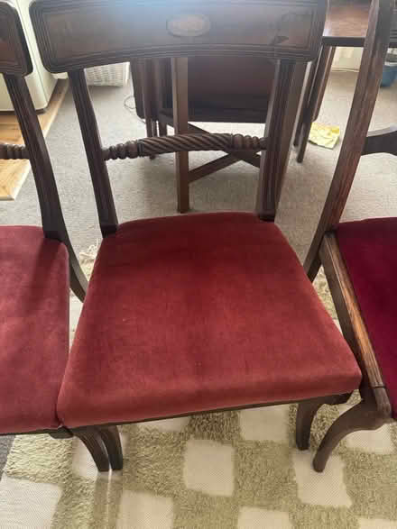 Photo of free 4 dining room chairs (Vauxhall) #3