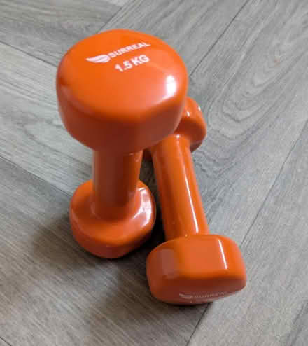 Photo of free 1.5kg dumbbells (B20) #2