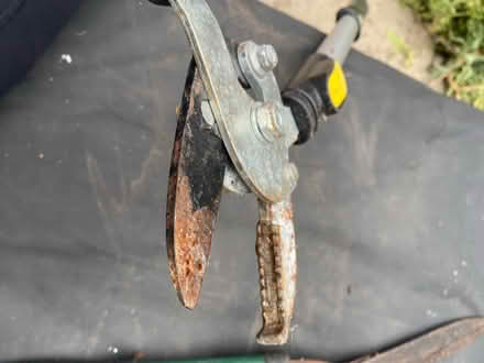 Photo of free Garden cutters (Queens Park W10) #4