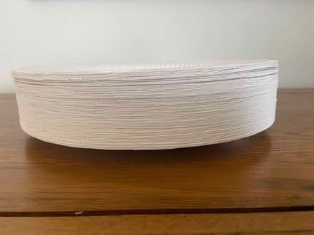 Photo of free 100 White Paper plates (Histon, Cambridge) #2