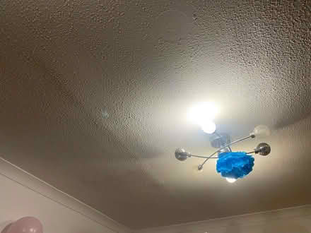 Photo of free Gender reveal party decor (Stevenage SG1) #4