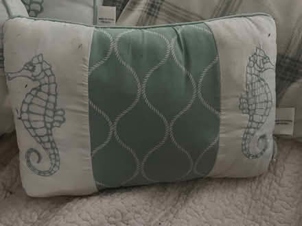 Photo of free Decorative pillows (Methuen MA on Salem NH line) #2