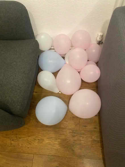 Photo of free Gender reveal party decor (Stevenage SG1) #2