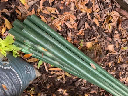 Photo of free Garden canes / stakes (Penkhull, Stoke. ST4) #1