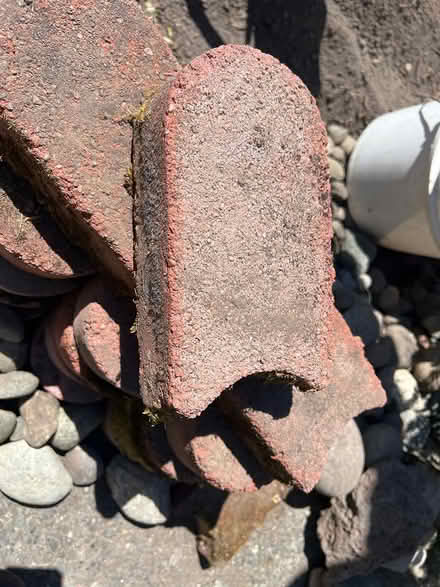 Photo of free 25+ red edging bricks (Lake City/Meadowbrook) #2