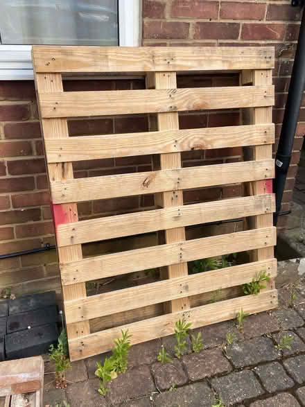 Photo of free Pallet (Histon CB24) #1