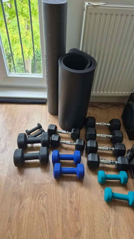 Photo of free Weights (Ravenscourt Park W6) #1