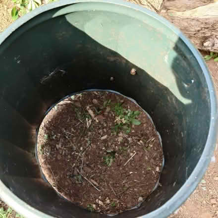 Photo of free Compost bin (Longwell Green) #1