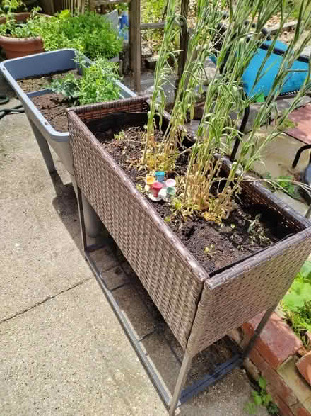 Photo of free Raised beds (Rowner PO13) #2