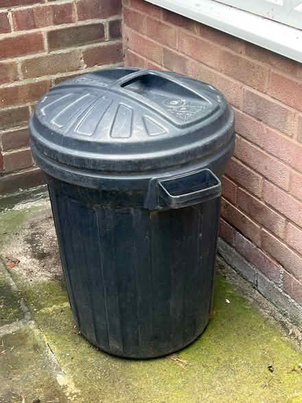 Photo of free Standard size plastic bin (Killinghall HG3) #1