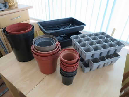 Photo of free Garden supplies (Southdown) #1