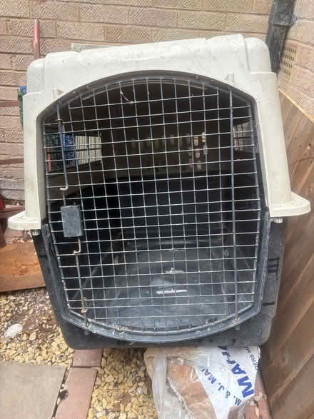 Photo of free Dog travel crate (B45) #1