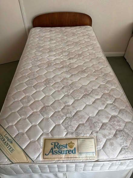 Photo of free Three single bed bases and/or two single mattresses (Penrith CA11) #1