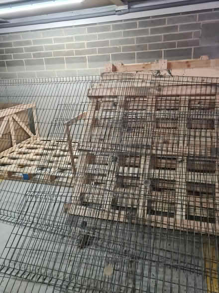 Photo of free Wood pallets (YO1 6DH) #1