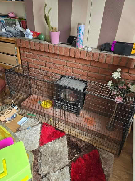 Photo of free Fire guard (Nuneaton CV10) #1