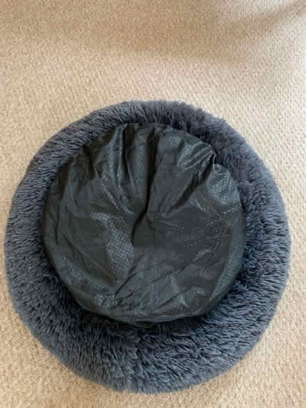 Photo of free Dog Bed (ME15 off Willington street) #2