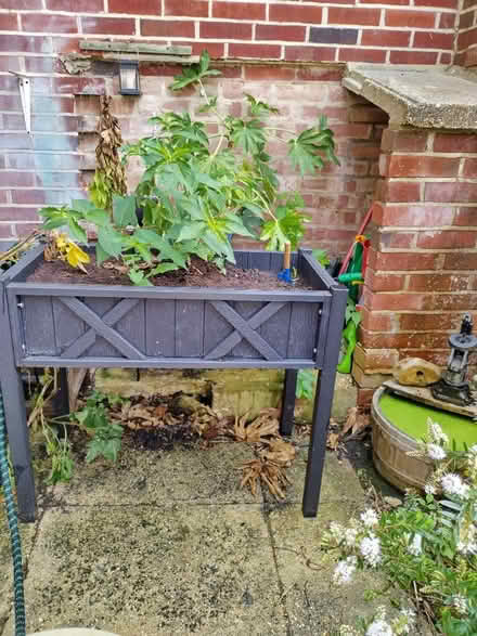 Photo of free Raised beds (Rowner PO13) #1
