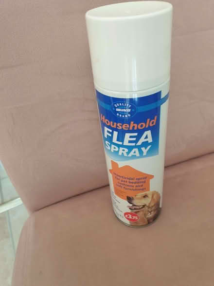 Photo of free Flea Spray (DA1) #1