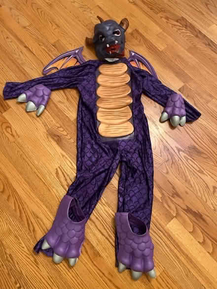 Photo of free Kids costumes (Haggerty and 7 mile) #3