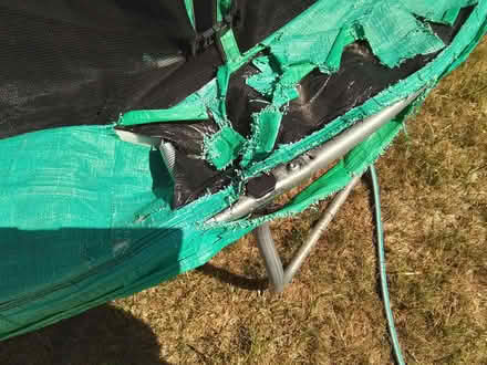 Photo of free Trampoline (North Town SL6) #2