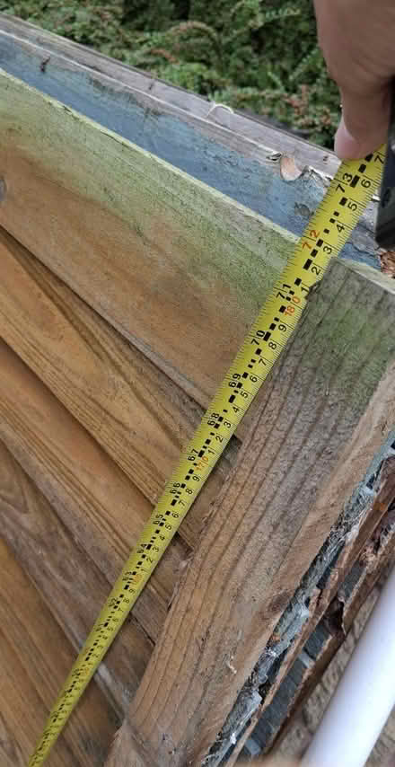 Photo of free Fence panels-PLEASE SEE DESCRIPTION (Mansfield NG19) #1