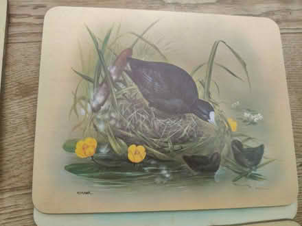 Photo of free Place mats (Jericho OX2) #4