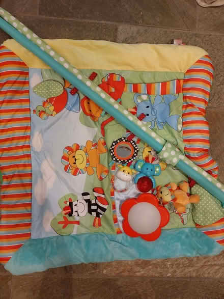 Photo of free Baby playmat (Bletchingley RH1) #2